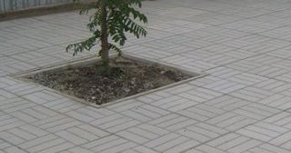 Качественная тротуарная плитка серого цвета в Большой Камне в октябре