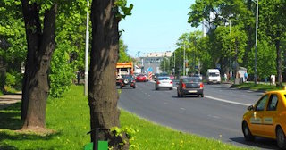 Посадка деревьев и кустарников в Большой Камне — стоимость от 1217 руб.